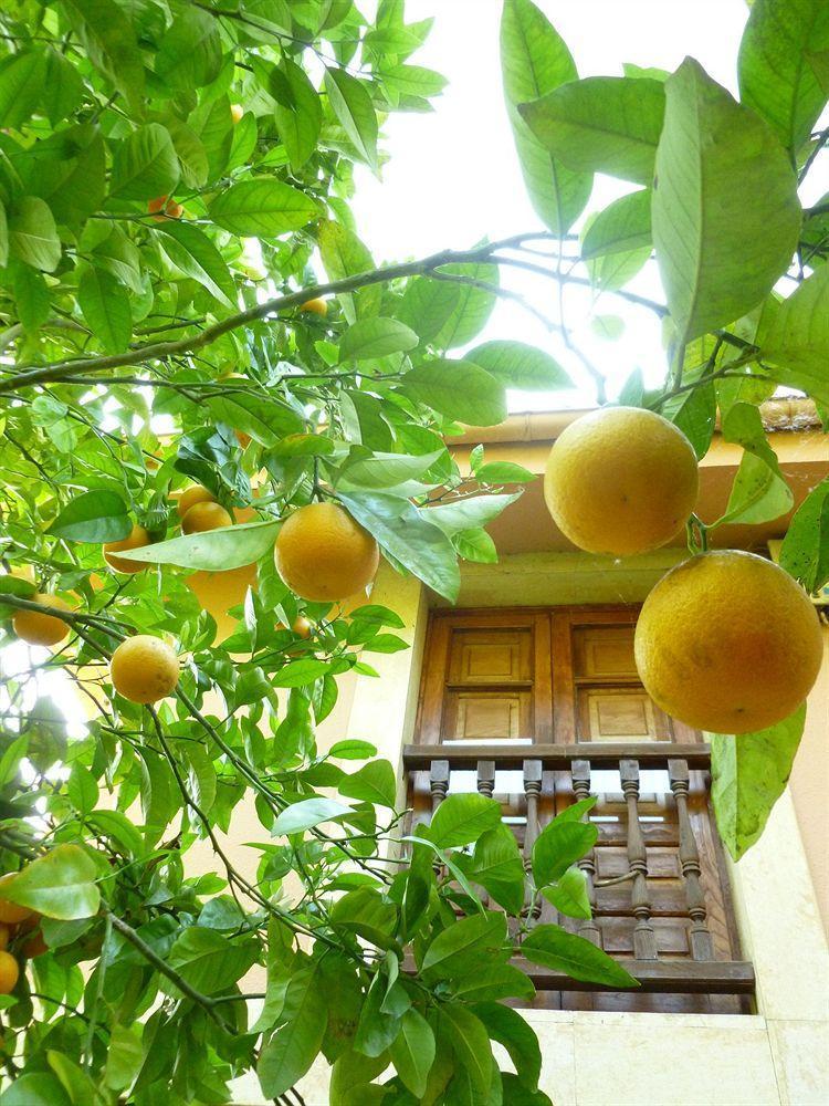 Rural La Balconada Oviede